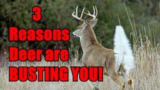 WHY You Suck at Deer Hunting