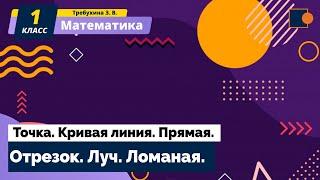 Математика. Точка. Кривая линия. Прямая. Отрезок. Луч. Ломаная.