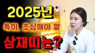 2025년 특히,조심해야 할 삼재띠는 무슨 띠일까？ 용군TV 화연궁 수정아씨