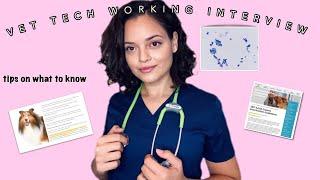 Working interview tips | vet tech