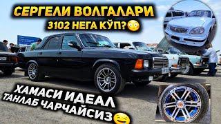 Сергелида волгаларни бутунлари, хавас қилиб кўрасиз! 3102 идеаллари!