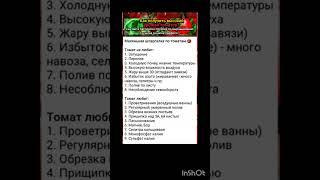 шпаргалка по помидорам