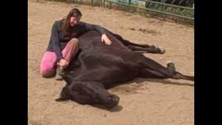 Day 10  A Quantum Leap of Trust: Napping with Galaxy!