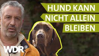 Dem Hund Ruhe und Gelassenheit vermitteln | Hunde verstehen S02/E01 | Tierratgeber | WDR