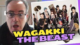 FIRST TIME HEARING WAGAKKI BAND - THE BEAST (LIVE) - REACTION!!!