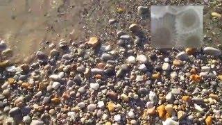 Tips for Finding Petoskey Stones