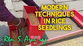 Recent Technique in Rice Seedlings, அரிசி நாற்று நவீன நுட்பம், Farmers Happy #essenceworld