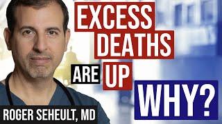 Excess Deaths: Causes (Deep Dive)