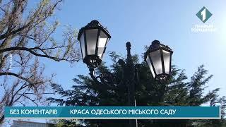 Одеса. Міський сад