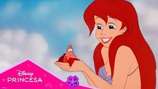 Disney Princesa | O mundo de Ariel