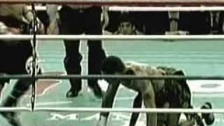 Larisa Dolina Kostya Tszyu