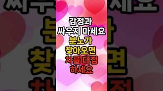 감정과 싸우지 마세요. 분노가 찾아오면 차를 대접하세요 #삶의지혜 #행복한노후 #100세시대