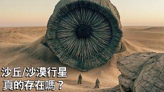 真實存在的《沙丘 沙漠行星》世界