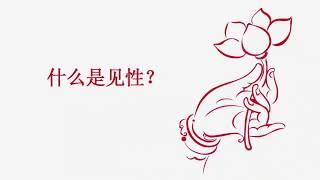 什么是见性？（实际操作法，实证）001期