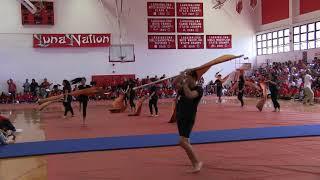 LHS Winter guard at 2018 Opening Assembly