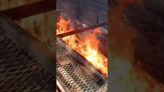 "Mango Habanero Wings That BITE Back! Plus Lamb Chops & Pulled Pork That MELT in Your Mouth!"