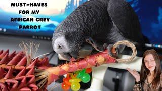 Must Haves to take care African Grey Parrot