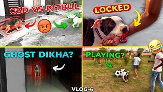 Vlog-6 German Shepherd attack on pitbull   | theboyROCKY! |