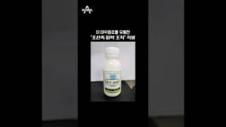 '대치동 마약 음료' 공급한 '조선족 마약 조직' 적발  / #채널A #shorts