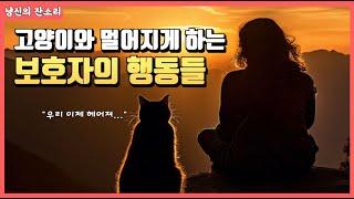 고양이와 멀어지게 하는 보호자의 행동들