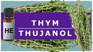 Essential oil of thyme with thujanol, the magic ingredient of aromatherapy