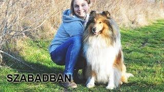 Szabadban ~ Outdoors (Pascal, rough collie tricks)