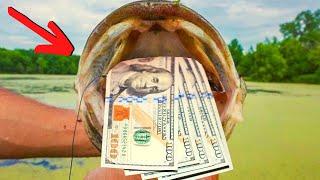 10 LEGIT Ways To Make MONEY Fishing ($$$)