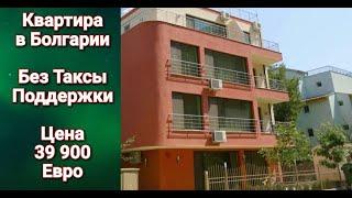 Недвижимость в Болгарии. Квартира Без Таксы Обслуживания. Цена 39 900 €