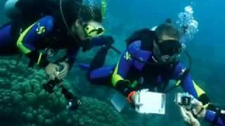 Digital Underwater Photography Course with The Dive Academy