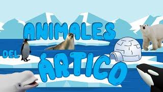 Animales del Ártico |  Animales polares | Videos educativos | LeoFunTv