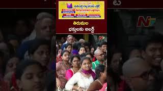 TTD To Release January 2025 Darshan Tickets | Ntv