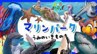 【海の生き物 集合！】マリンパークへ行こう！水族館で人気のうみのいきものやお魚さんたちが大集合◎イルカ サメ クジラなど20種が登場するよ【子供向け水族館アニメ】