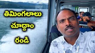 What is The BEST Way to See Whales in Alaska?  (America Telugu Travel Vlogs) Must See Tourist Spot