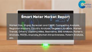 Smart Meter Market Report 2024 | Forecast, Market Size, Growth, Trends