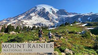 Mount Rainier NP //  Skyline Loop, Mt. Fremont Lookout, Silver Falls and Grove of the Patriarchs