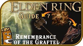 Which Godrick's Remembrance weapon? Godrick's Axe or Grafted Dragon? Elden Ring Field Guides #shorts