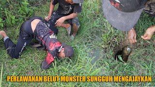 PERJUANGAN MENAKLUKAN BELUT MONSTER