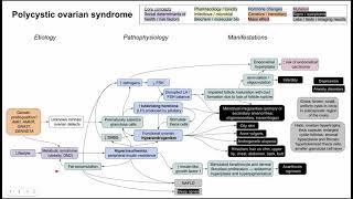 Polycystic ovarian syndorme, PCOS (mechanism of disease)