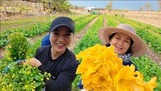 ORGANIC VEGGIE FARM (CASUAL COUNTRY SIDE LIFE VLOG) SASVlogs