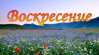 Воскресение. Народные хиты и любимые мелодии под баян. Песни для души.