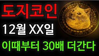 [도지코인 전망]12월 XX일 이때부터 30배 더갑니다