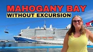 What To Expect: Mahogany Bay Carnival Cruise Port