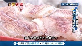 突破困境!魚肉營養更升級 "智能養殖池"打造台灣鯛外銷生產基地｜記者陳政棟｜【LIVE大現場】20190514｜三立新聞台