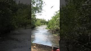 Drone Fell into the River