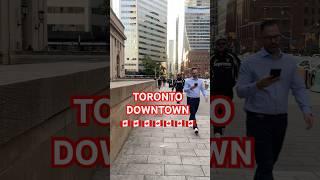 Beautiful Toronto Downtown #internationalstudents #studyincanada #studyabroadcanada #canada