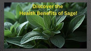 Unlock the Health Benefits of Sage: A Comprehensive Guide