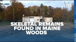 Skeletal remains found in Maine woods not of missing Kim Moreau, father says