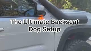 The Ultimate Backseat Dog Setup for Comfort and Safety