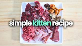 Simple Raw Food Recipe For Kittens