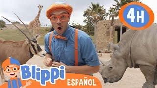 ¡Conoce estos animales increibles! | Blippi Español | Videos educativos para niños | Aprende y Juega